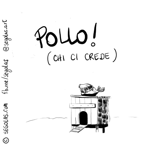 Segolas - Pollo (Chi Ci Crede)