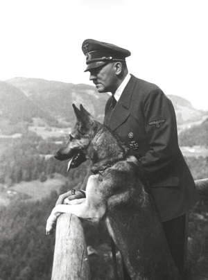 Adolf Hitler insieme a Blondi, la madre di KlauSS. Berlino 1939 Adolf Hitler insieme a Blondi, la madre di KlauSS. Berlino 1939