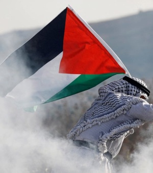 Chi Ha Paura Della Bandiera Palestinese Chi Ha Paura Della Bandiera Palestinese