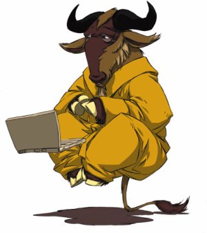 GNU/Linux GNU/Linux