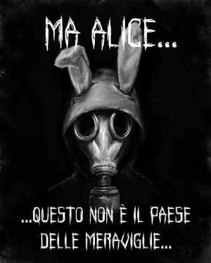 I Migliori 12 Film Sulla Droga