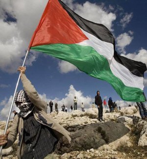Colonie Che Crescono, Detenuti Palestinesi Lasciati Morire: La Palestina Sotto Occupazione Colonie Che Crescono, Detenuti Palestinesi Lasciati Morire: La Palestina Sotto Occupazione