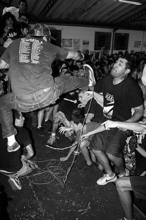 Le Scene Musicali Sono Roba Da Idioti Le Scene Musicali Sono Roba Da Idioti