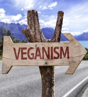 Carə Attivistə Di Sinistra Criticə Del Veganismo: Il Veganismo Non E' Abilista O Classista!