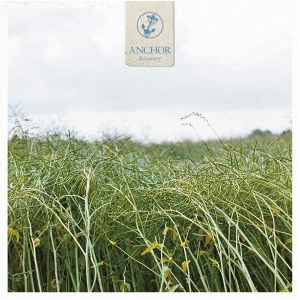Anchor - [2011] Recovery