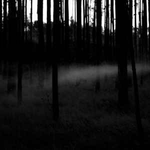 Atmosferatu - [2014] Los Temores De Un Hombre Sabio