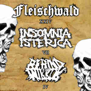 Fleishwald - Insomnia Isterica - Behind The Mirror - [2008] XXIV-VII-IV