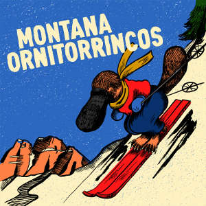 Montana & Ornitorrincos - [2016] Split