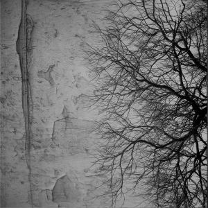 The Nihilist Fisherman - [2012]  Get Four As Splits In Two